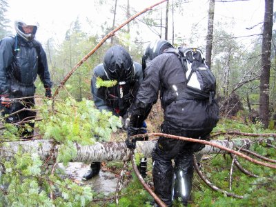 Olympic Peninsula Adventure Ride- Rain and Wind Storm, Clearing Downed Trees, Survival Mode, Day 3