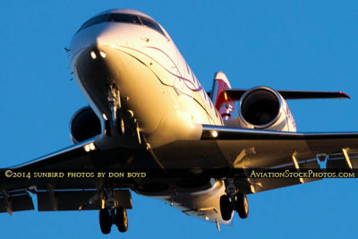 2014 - close up of Canadair Challenger CL-60 N675BP corporate aviation stock photo #3973C