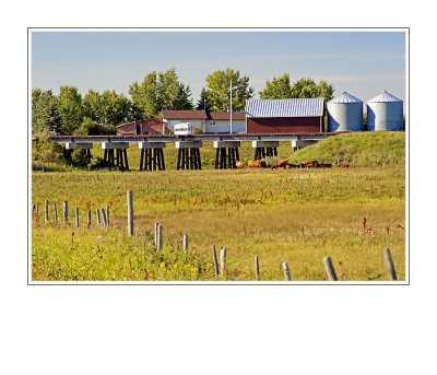 Saskatchewan Farm
