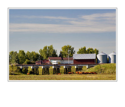 Saskatchewan Farm