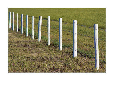 Fence Line