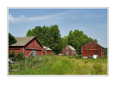 Old Farm Buildings