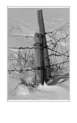 Fence Post in the Snow