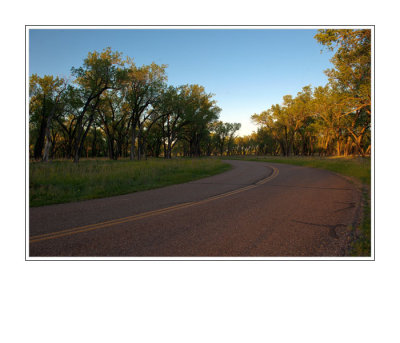 Curved Road