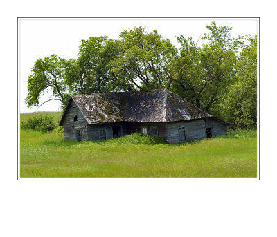 Abandoned House