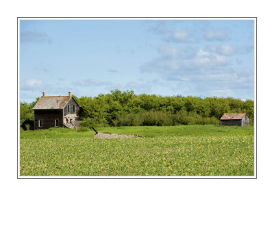 Abandoned House