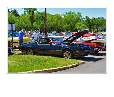 1979 Pontiac Trans Am