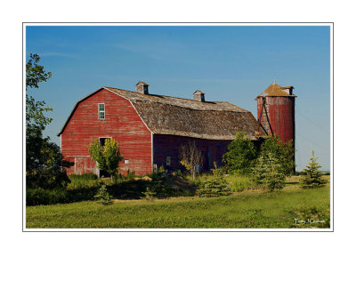 Red Barn in Summer