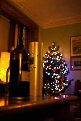 1171. Christmas tree night