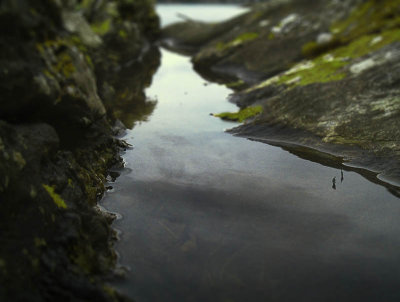 1177. Loch Rochpuil