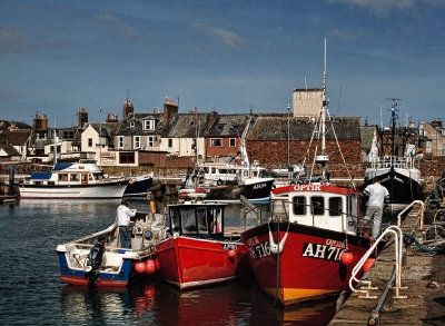 1426. Arbroath harbour