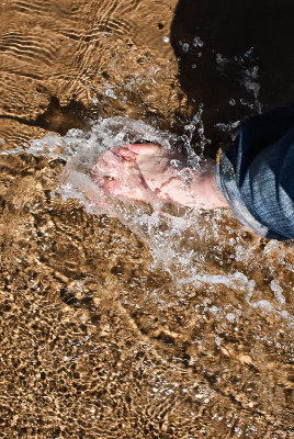 1460. Splash