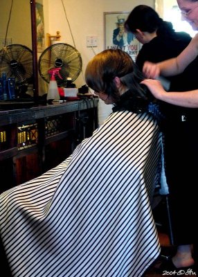 Murder-polis at the barber's shop