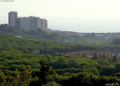 Lisboa vista de Monsanto