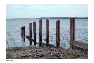 Groynes, Tay and Tentsmuir Forest