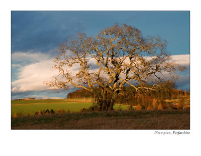 603. A hint of the spring to come