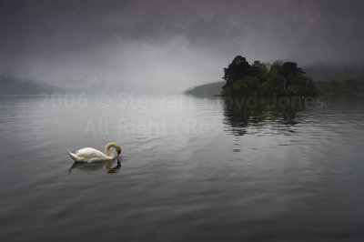 680. Swan Loch