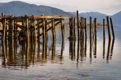 708. Remains of the pier