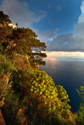 Early morning from the ancient stair  from Capri to Anacapri, Villa Axel Munthe in the background.