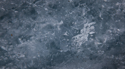 Glacier Ice Detail (DemingGl_080713-391-5.jpg)