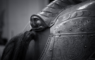 Horse Armor Detail(NYC_081814-292-1.jpg)