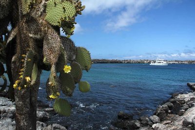 Scenery from Galapagos Islands