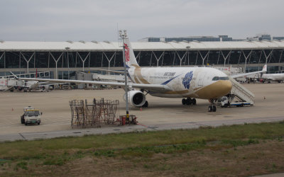 Air China A-330 in Blue Peony special livery