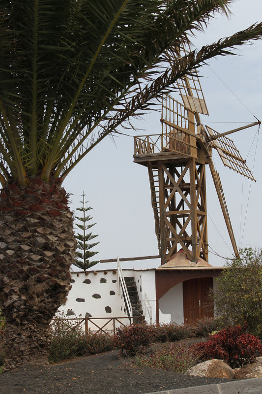 Windmill in Teguise near church by Howard