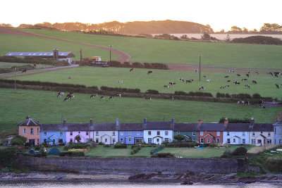 Houses next to Roches Point