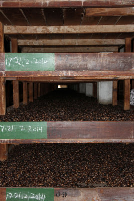 Gouyave nutmeg cooperative  - shelves of nutmegs