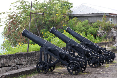 Cannons, Fort George