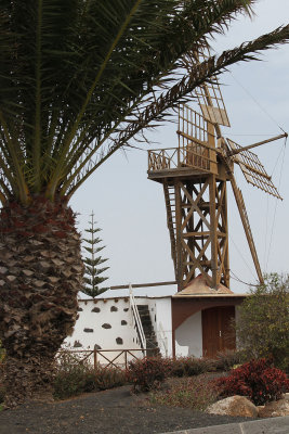 Windmill in Teguise near church by Howard