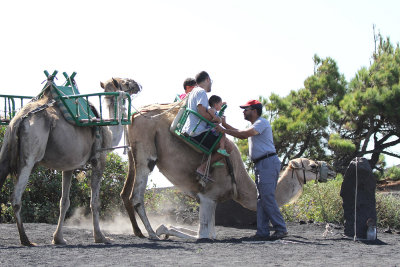 Family at end of camel ride, Volcan San Antonio
