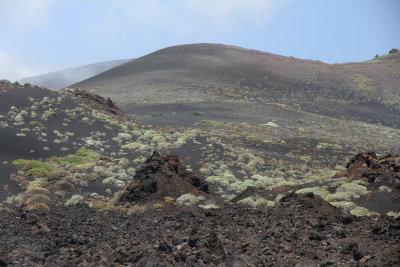 The face of La Palma - lots of brown & black with some greenery - more than Lanzarote!