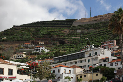 Camara's terraced fields surround the town