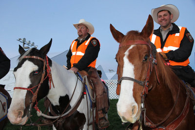 The volunteers with rescue horses came at dawn