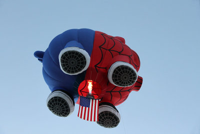 Spyder Pig & flag