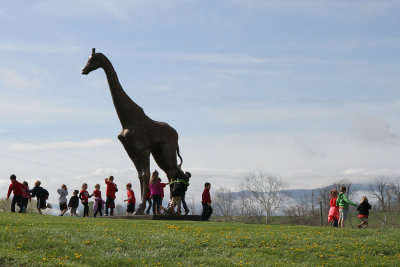 School children find the big giraffe