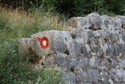 Out of curiosity I went back by the water to see the route to the Kotor fortress via the old goat path.