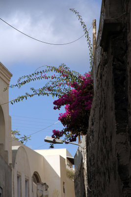 Not all is white, blue and brown on Santorini.