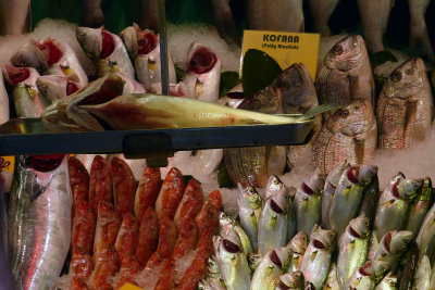  Fish display in Kadikoy