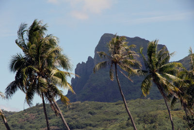 Beautiful scenery with (as always) palms and mountain