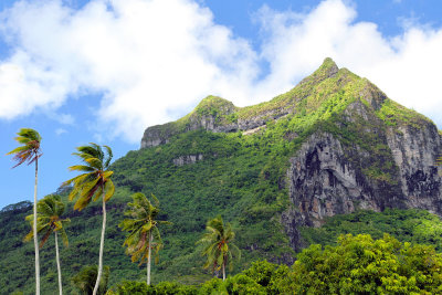 Mighty Mt. Otemanu with palms