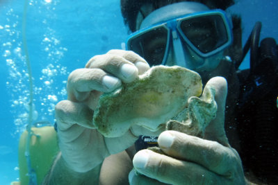 Photographer showing Howard a shell