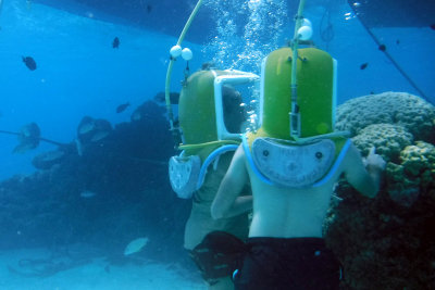 Miche & Michael examining the coral