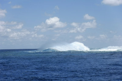 g9/20/470720/3/162467572.40Om7ECH.jpg