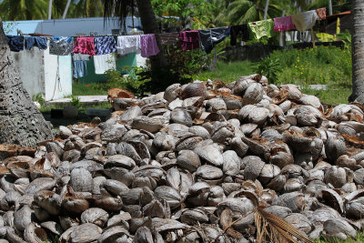  Walked by a huge pile of coconuts plus laundry