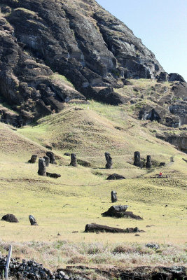 Then we visited the enormous quarry where most of the moai were built - person on bench shows you how big the place is