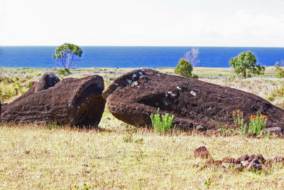 Fallen moai near quarry
