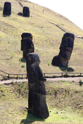 Variety of moai in enormous quarry